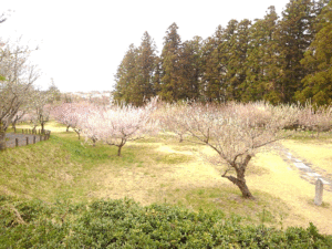 翠ヶ岡公園は自然豊かな広い公園です 須賀川市スポット 公園 珍福穴福 福島県穴場観光ならおまかせ