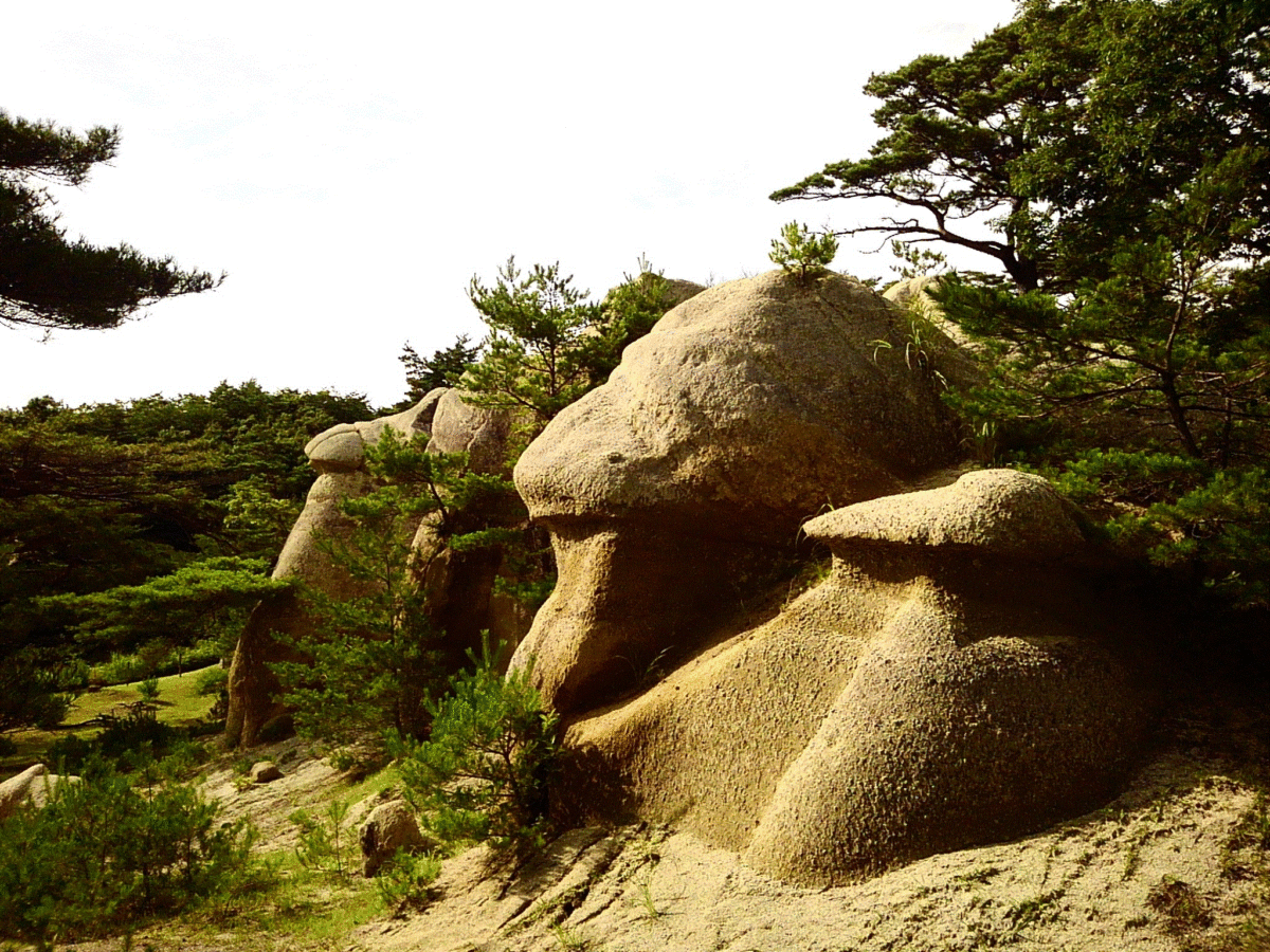 浄土松公園のきのこ岩と沢山の絶景【郡山市公園、穴場スポット】