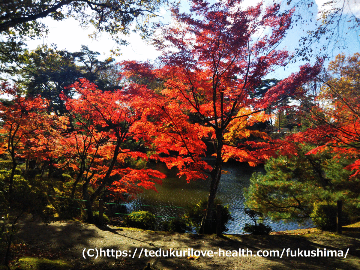 実は無料 牡丹園の紅葉が綺麗でした 須賀川市紅葉スポット 珍福穴福 福島県穴場観光ならおまかせ