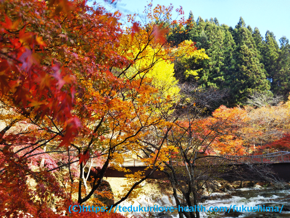 紅葉が綺麗な強滝遊歩道！【鮫川村穴場紅葉スポット】